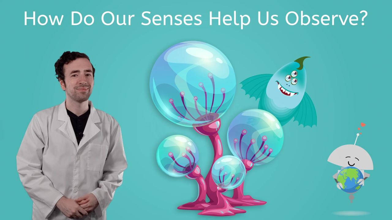Sensory acumens game skunk will help you smell your game in the future