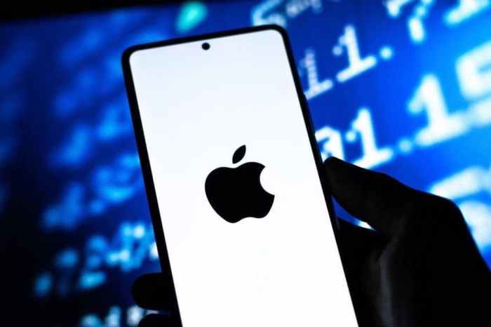 Apple expected to develop digital wallet by 2014 analyst