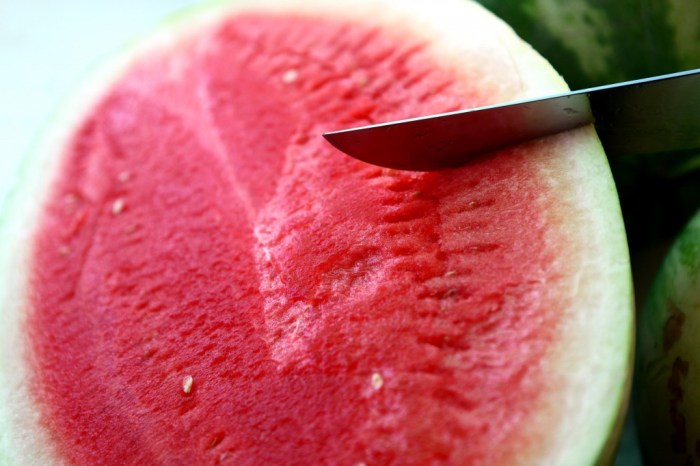 Keep your watermelon cool with this portable fridge