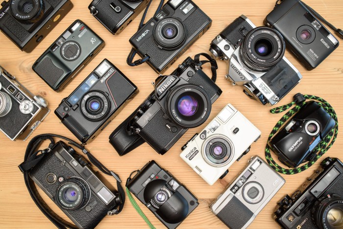 These cameras are made from exotic materials in the name of art