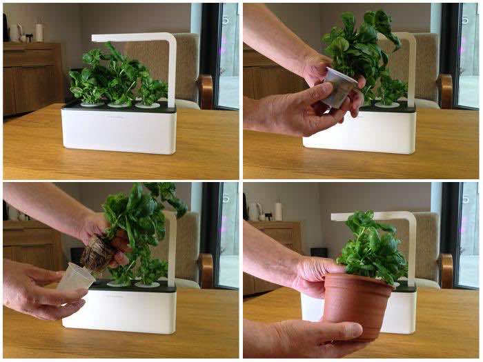 Smart herb garden grows herbs vegetables without sun or soil