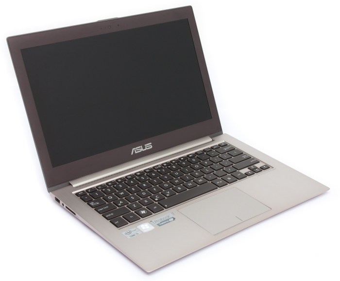 Asus zenbook ux31a review