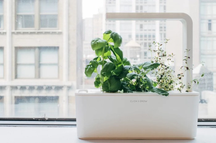 Smart herb garden grows herbs vegetables without sun or soil