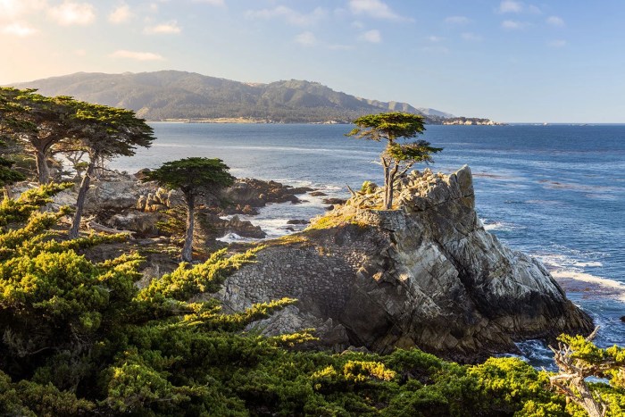 This california cypress wood led lamp is a sight to behold