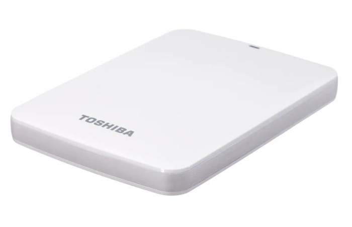 Toshiba canvio connect announced
